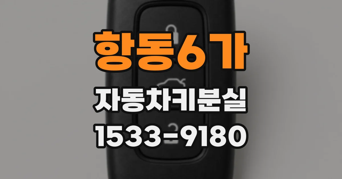 항동6가 자동차키분실
