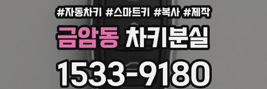 금암동 차키분실