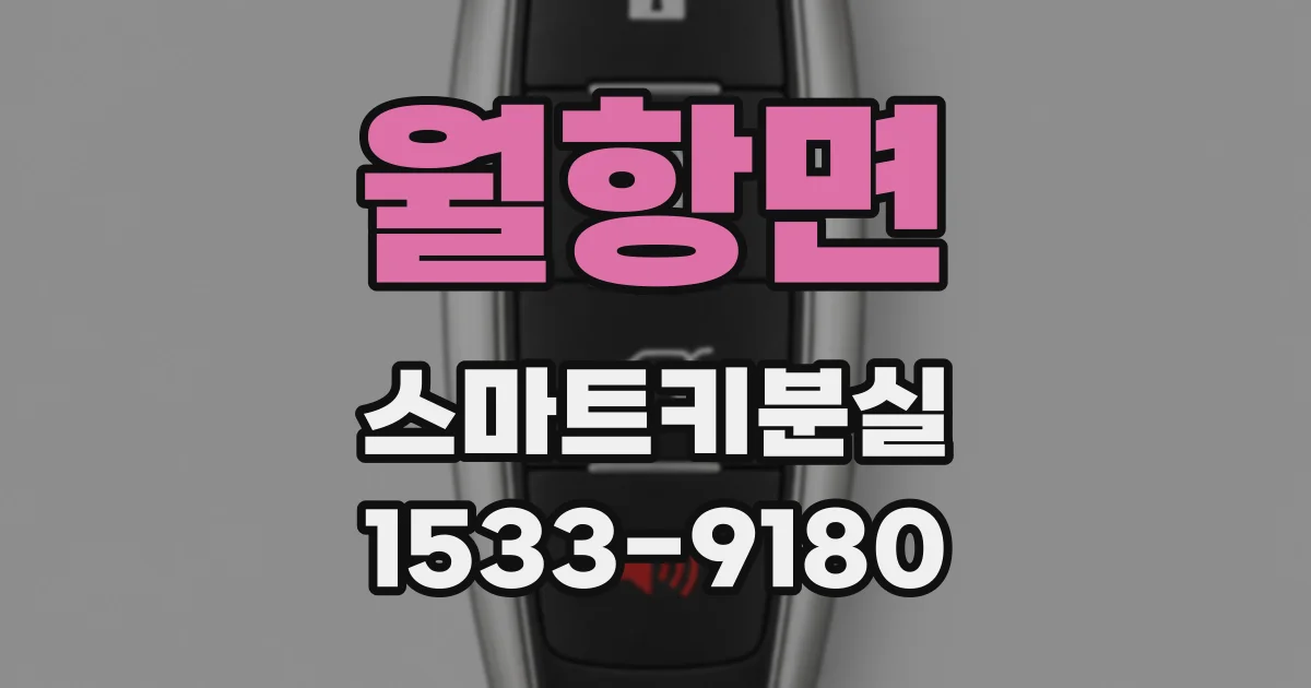 월항면 스마트키분실