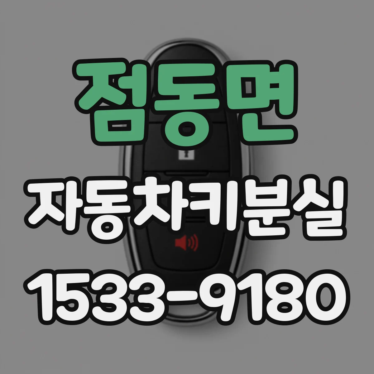 점동면 자동차키분실