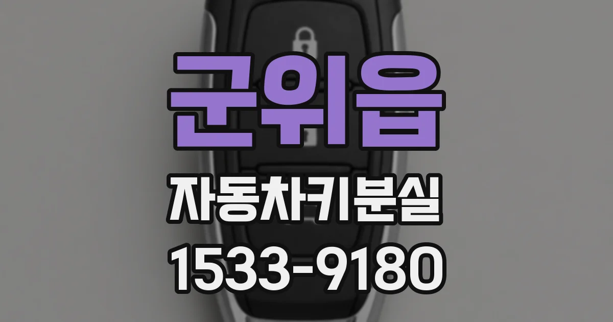 군위읍 자동차키분실