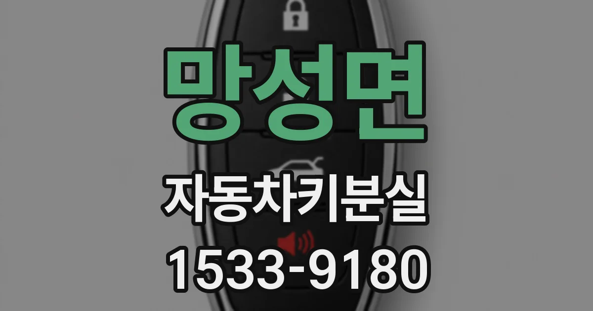 망성면 자동차키분실
