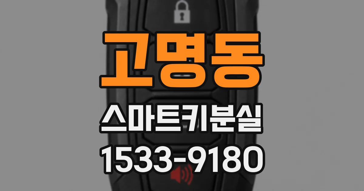 고명동 스마트키분실