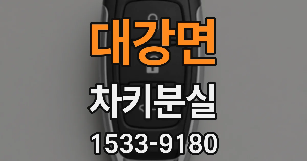 대강면 차키분실