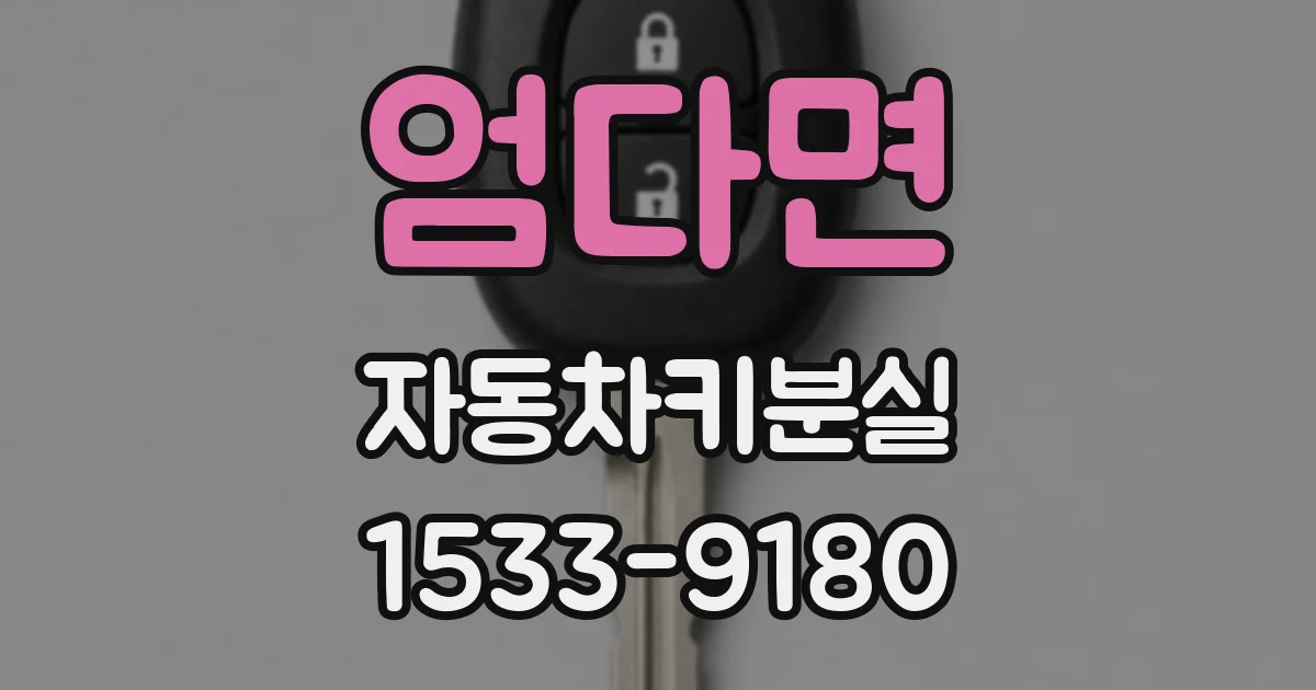 엄다면 자동차키분실