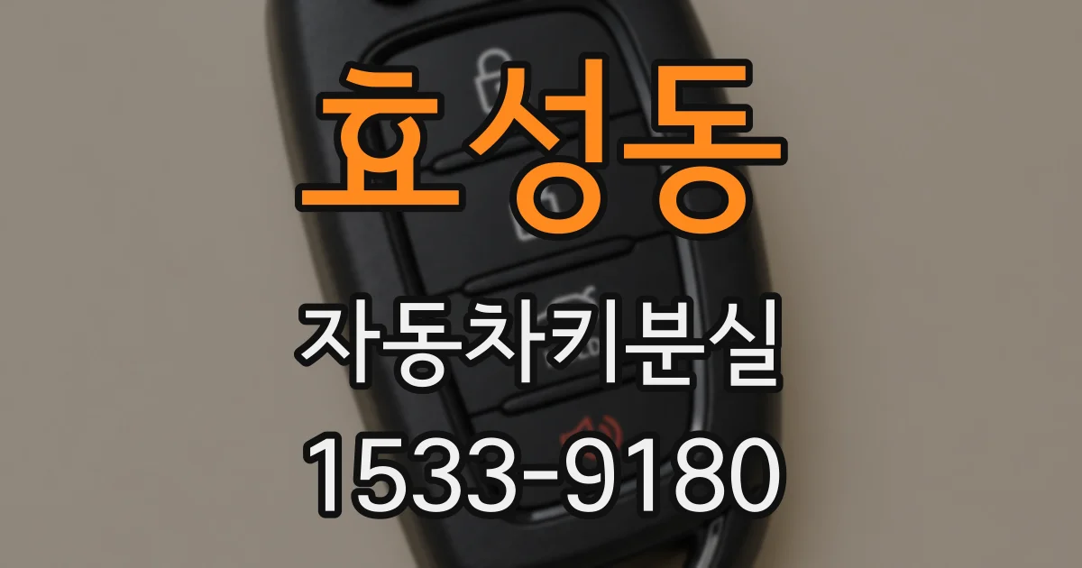 효성동 자동차키분실