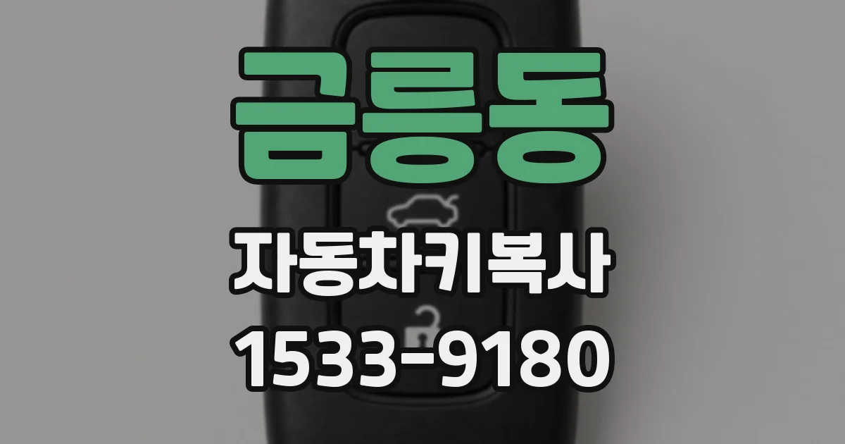 금릉동 자동차키복사