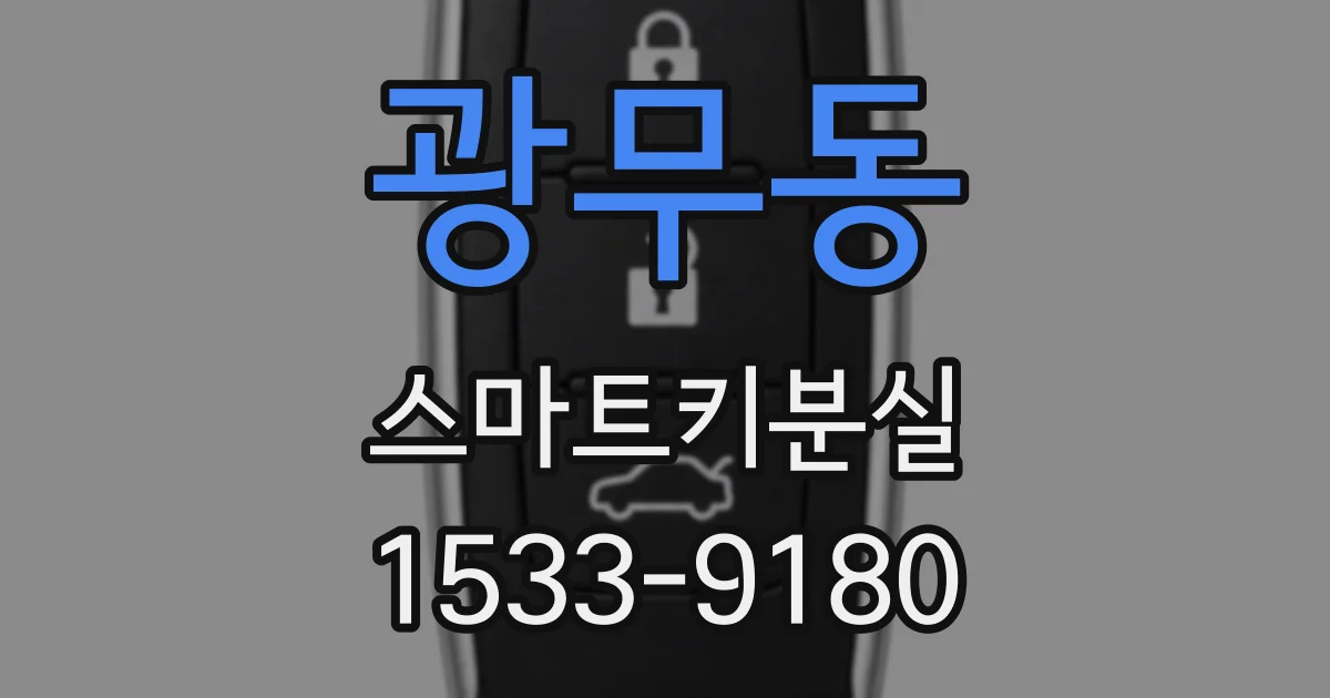 광무동 스마트키분실