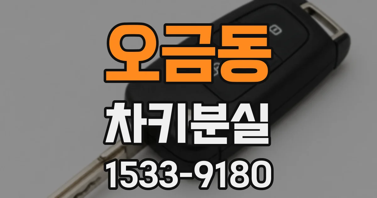 오금동 차키분실
