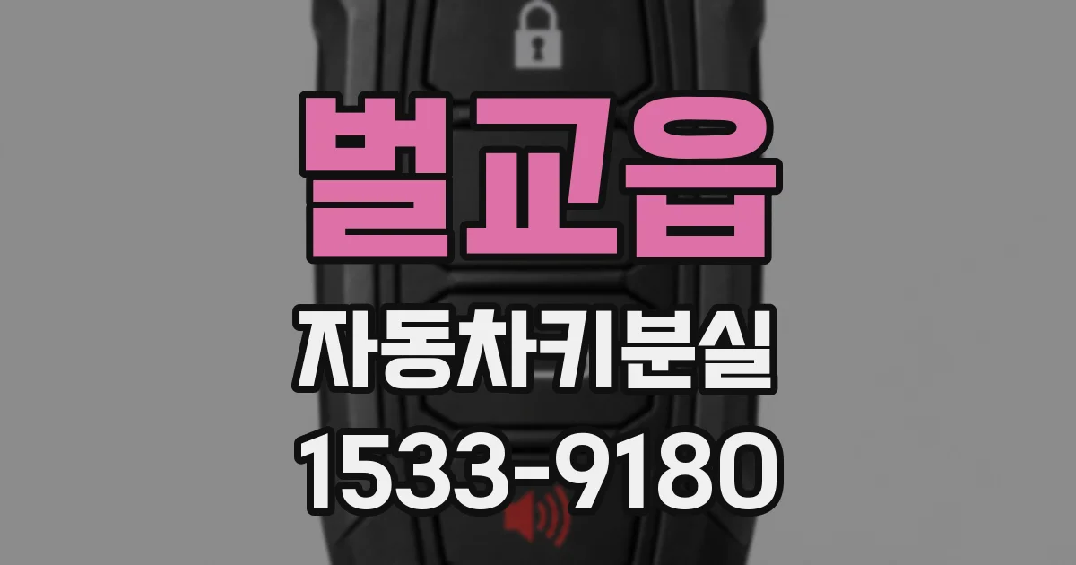 벌교읍 자동차키분실