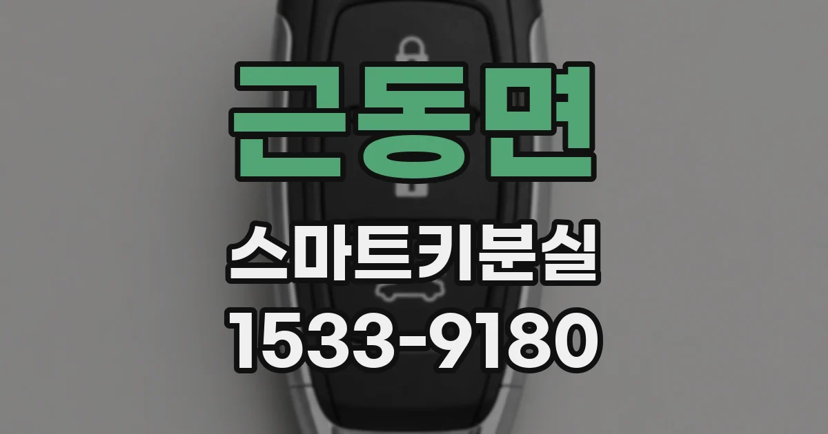 근동면 스마트키분실