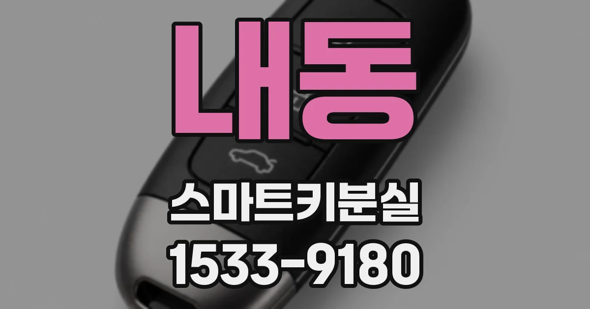 내동 스마트키분실