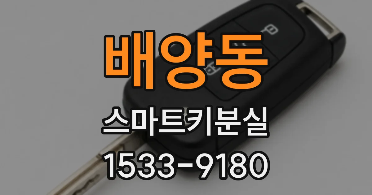 배양동 스마트키분실