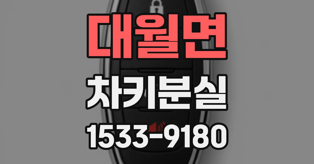 대월면 차키분실