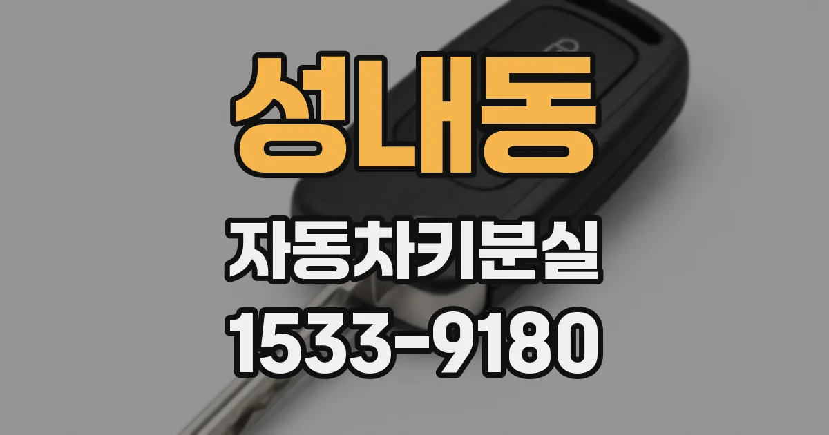 성내동 자동차키분실