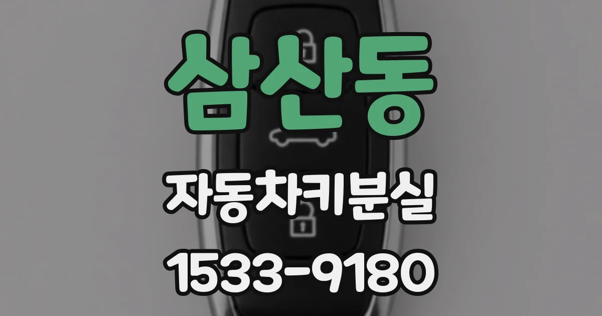 삼산동 자동차키분실