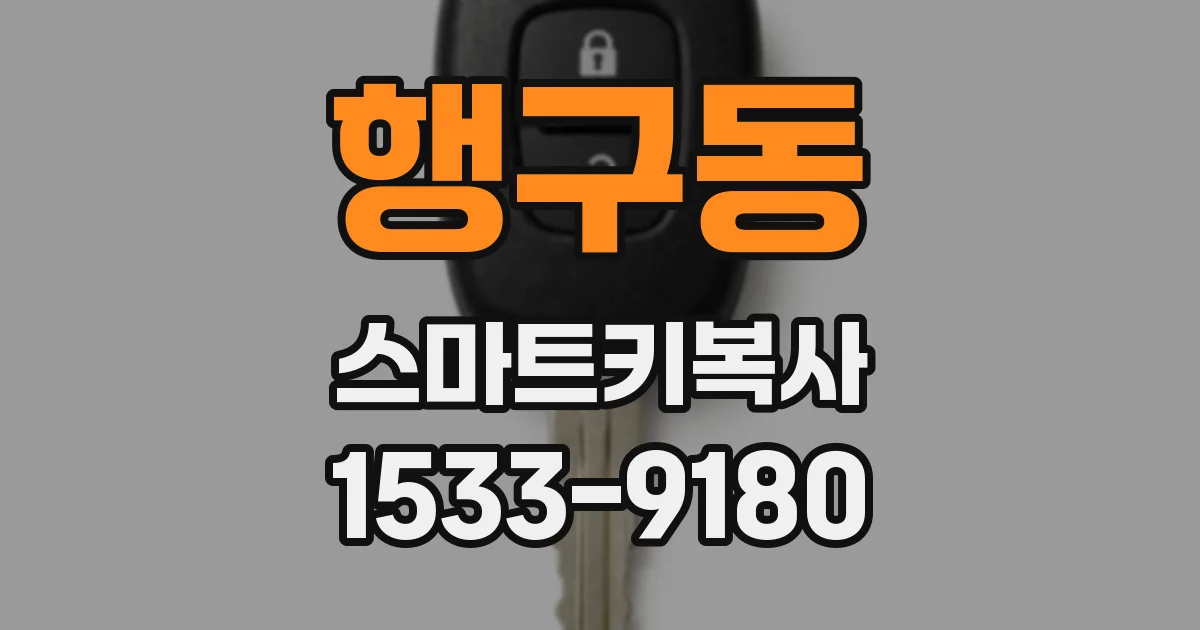 행구동 스마트키복사