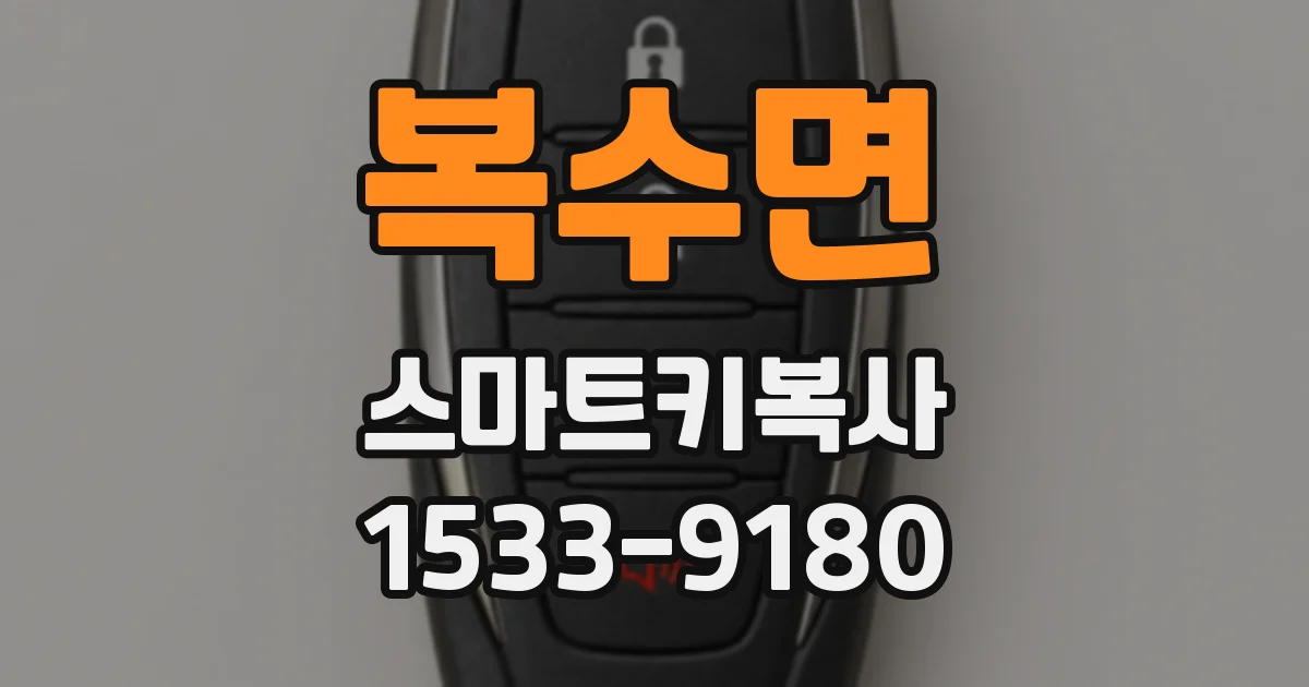 복수면 스마트키복사