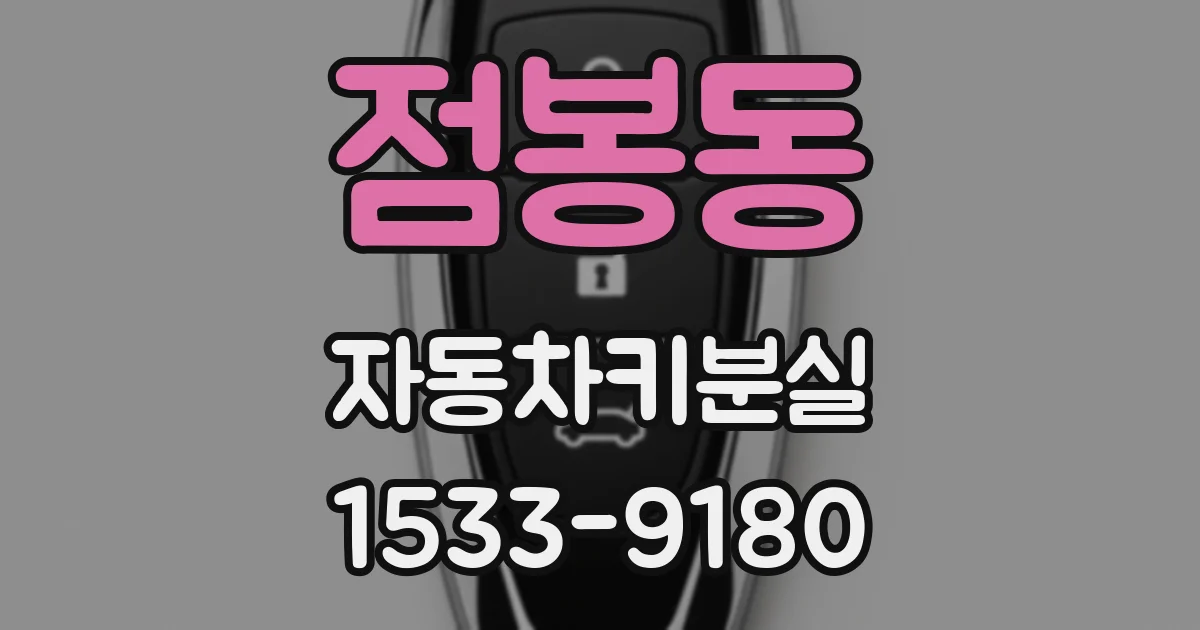 점봉동 자동차키분실