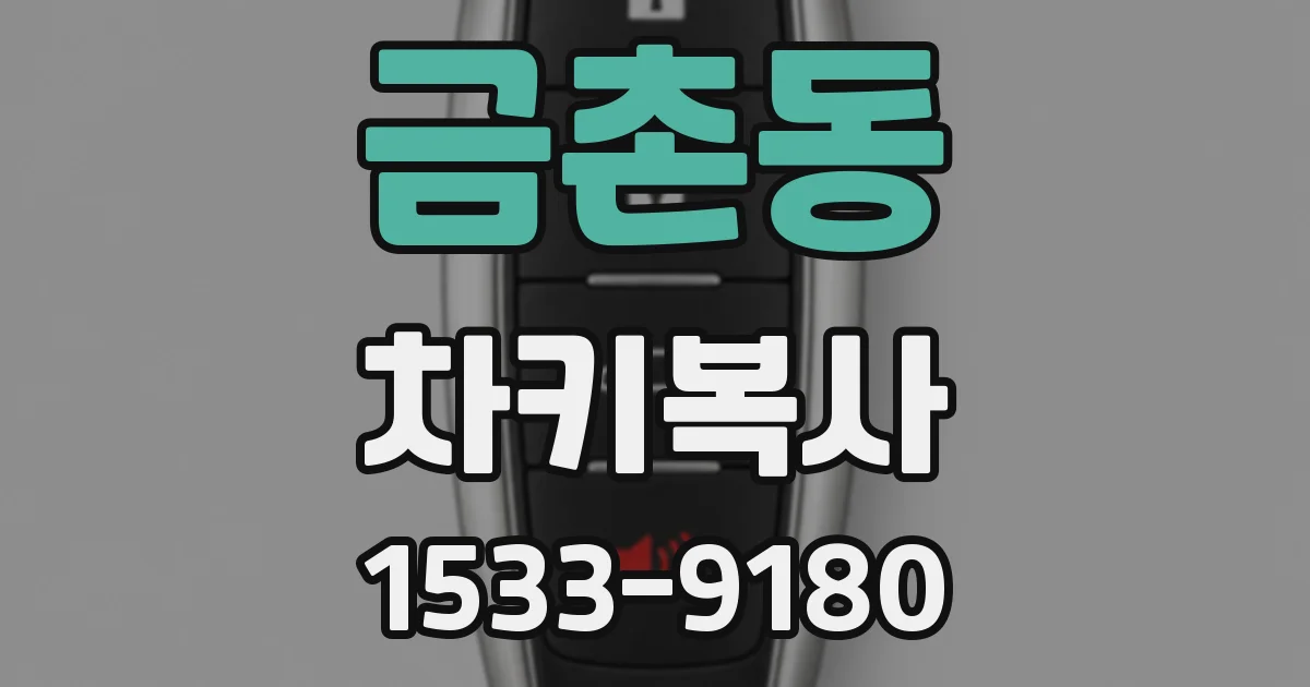 금촌동 차키복사