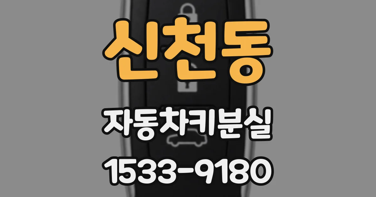 신천동 자동차키분실