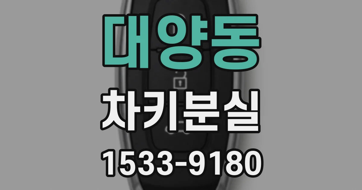 대양동 차키분실