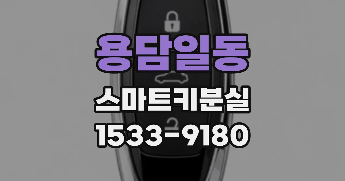 용담일동 스마트키분실