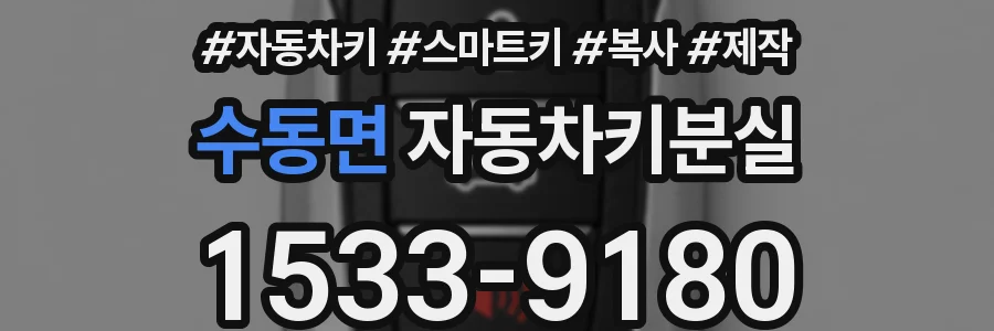 수동면 자동차키분실