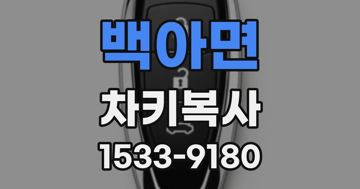 백아면 차키복사