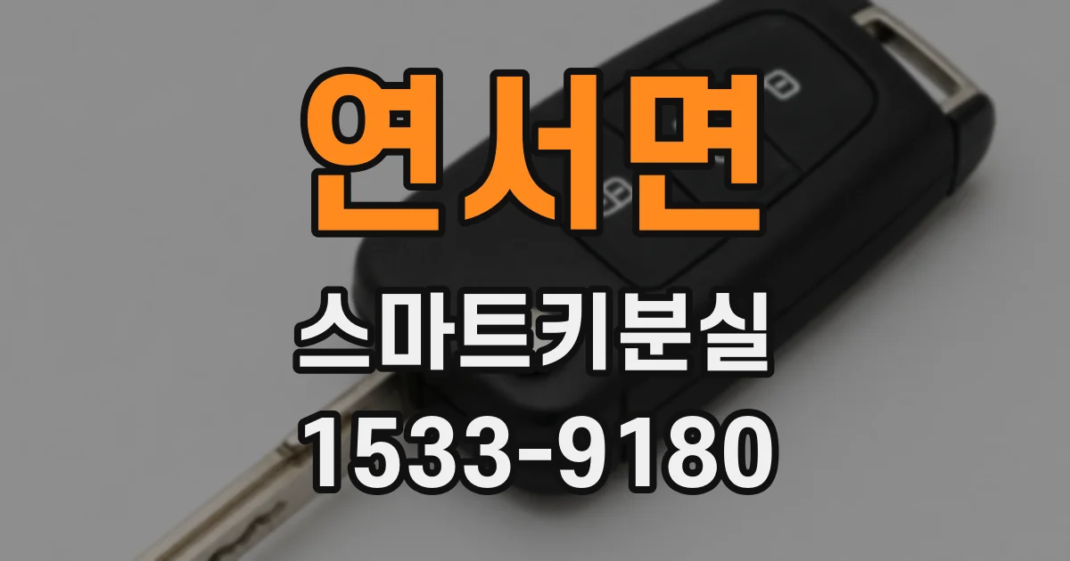 연서면 스마트키분실