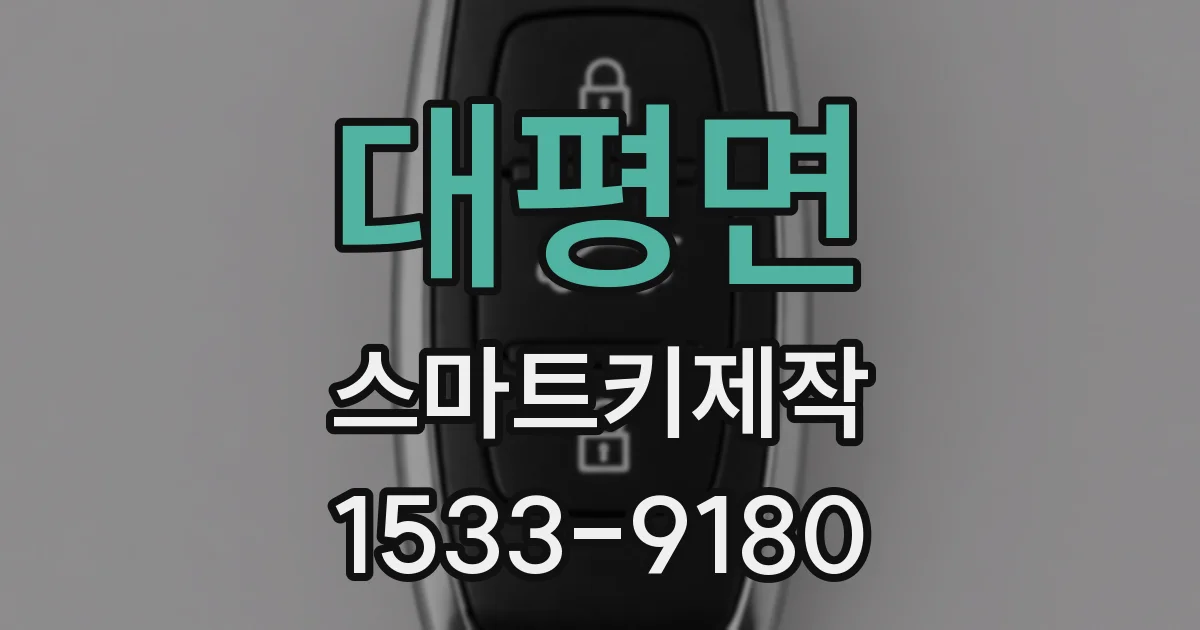 대평면 스마트키제작
