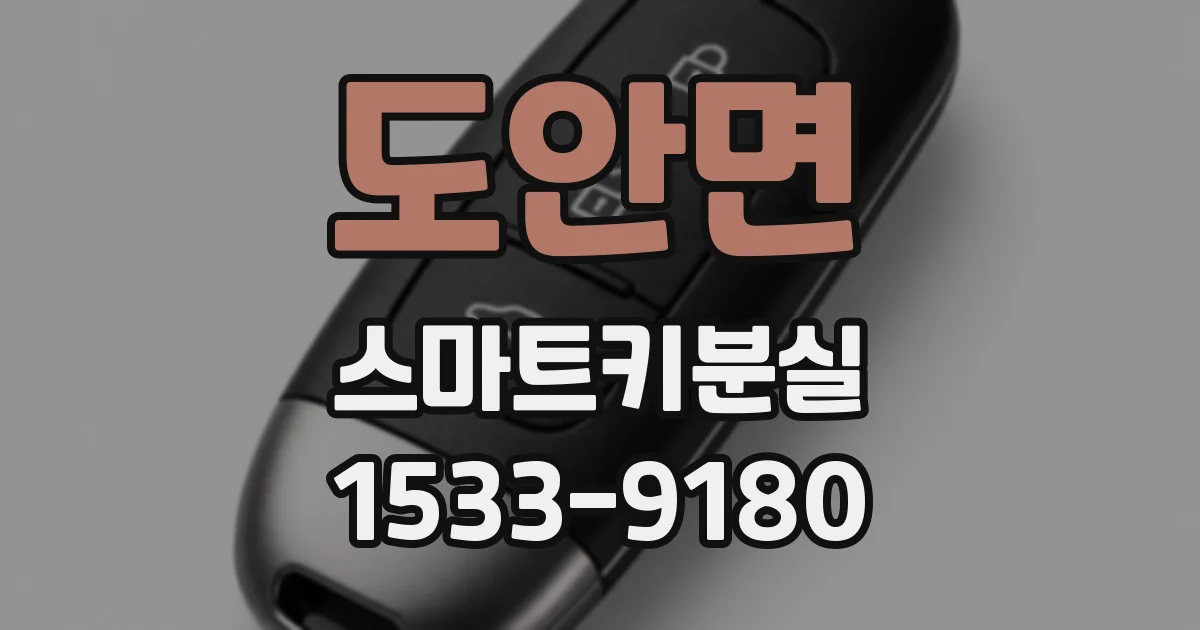 도안면 스마트키분실