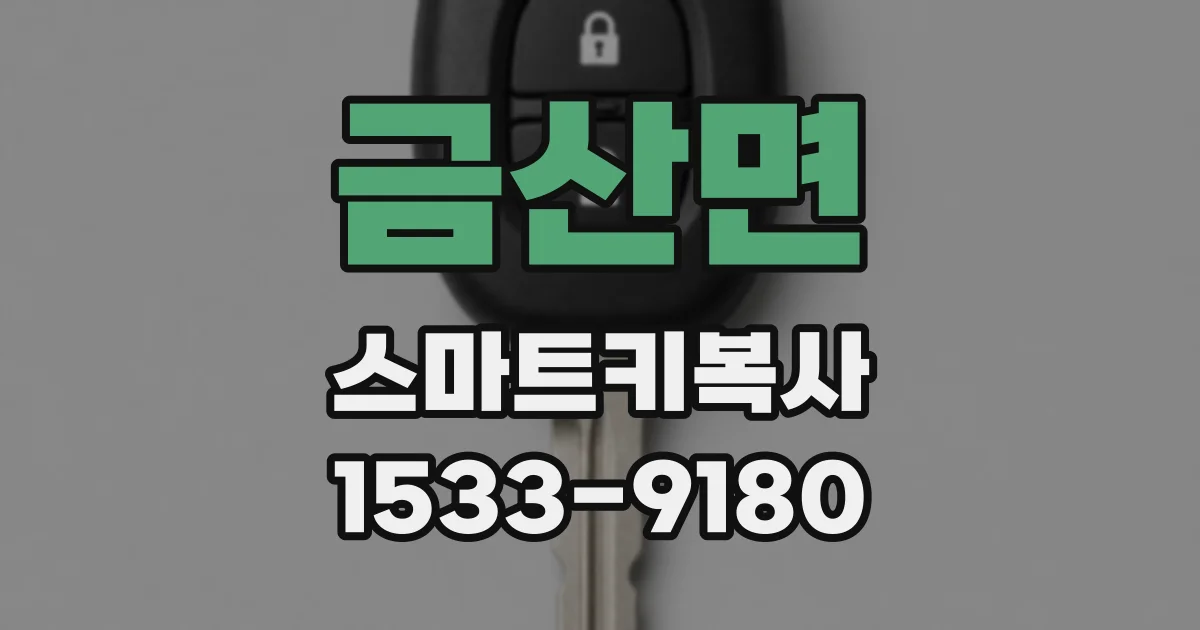 금산면 스마트키복사