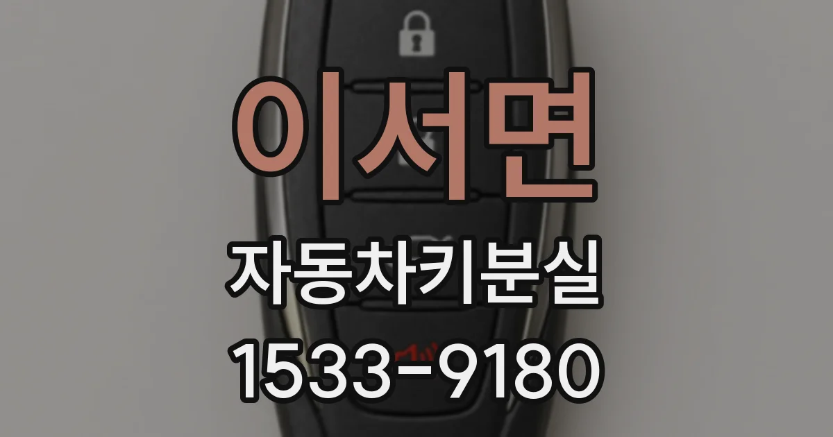 이서면 자동차키분실