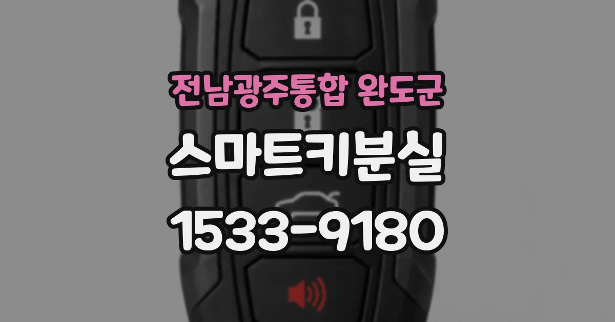 전남광주통합 완도군 스마트키분실