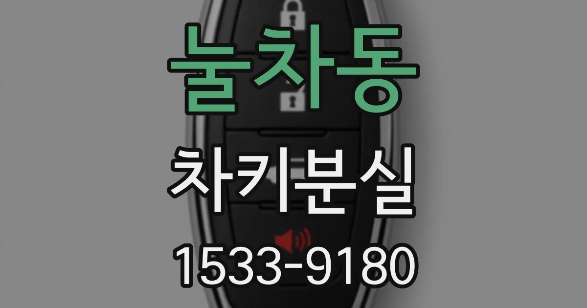 눌차동 차키분실