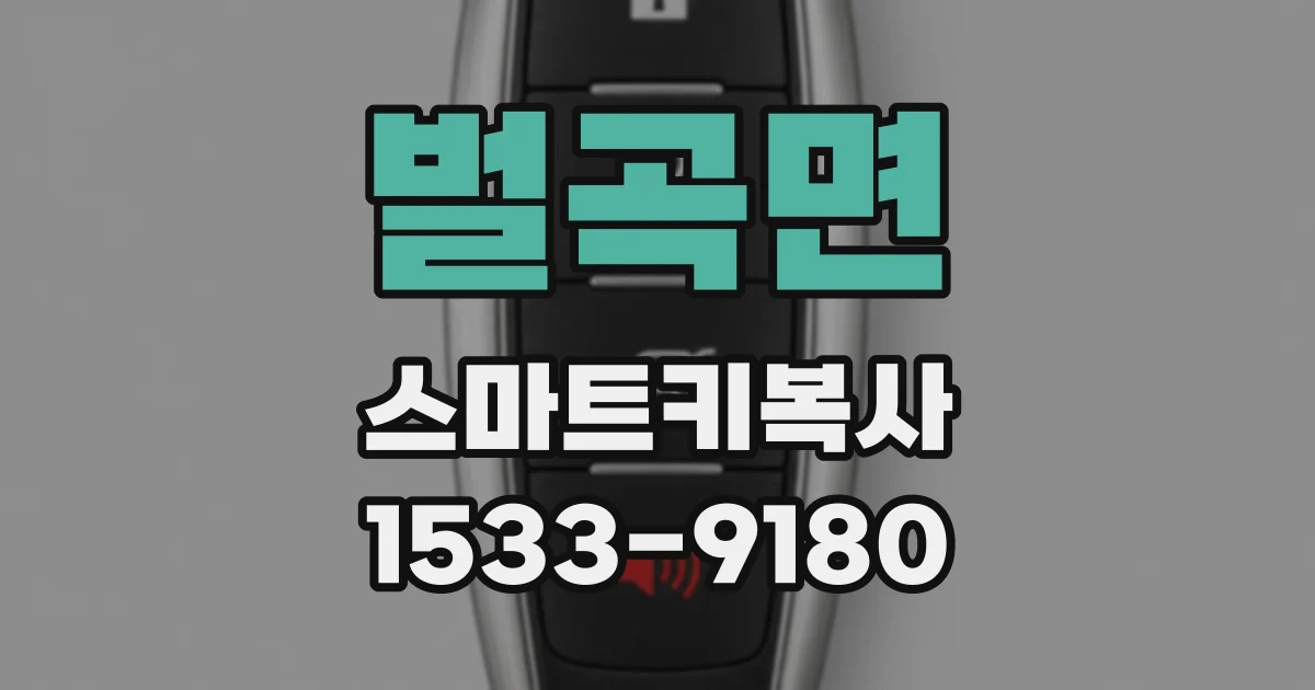 벌곡면 스마트키복사