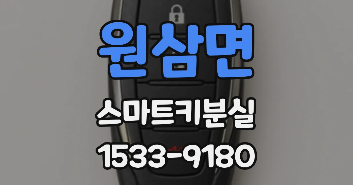 원삼면 스마트키분실