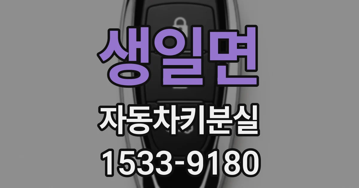 생일면 자동차키분실