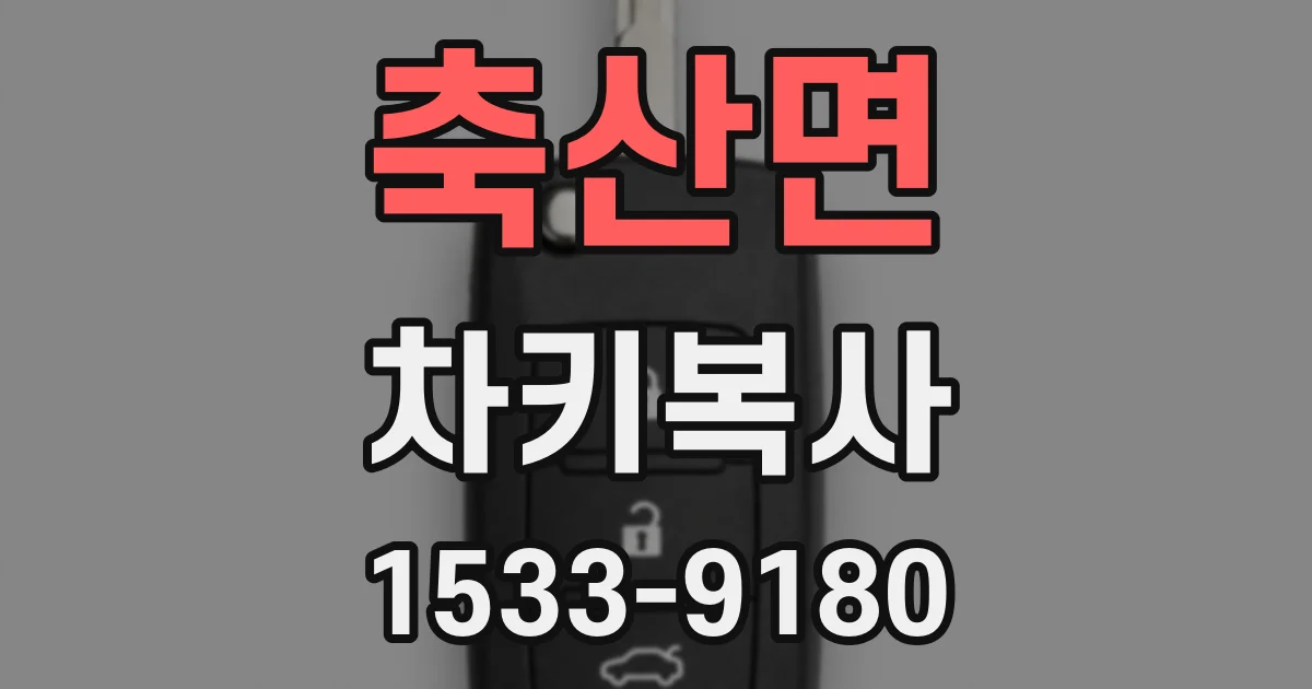 축산면 차키복사