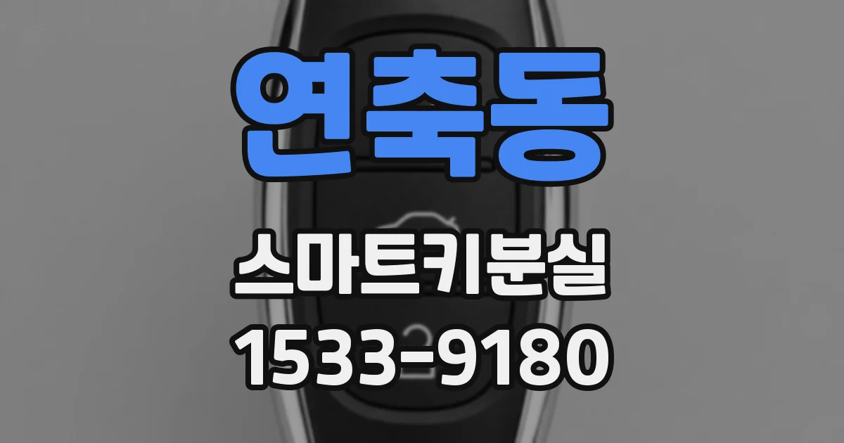 연축동 스마트키분실