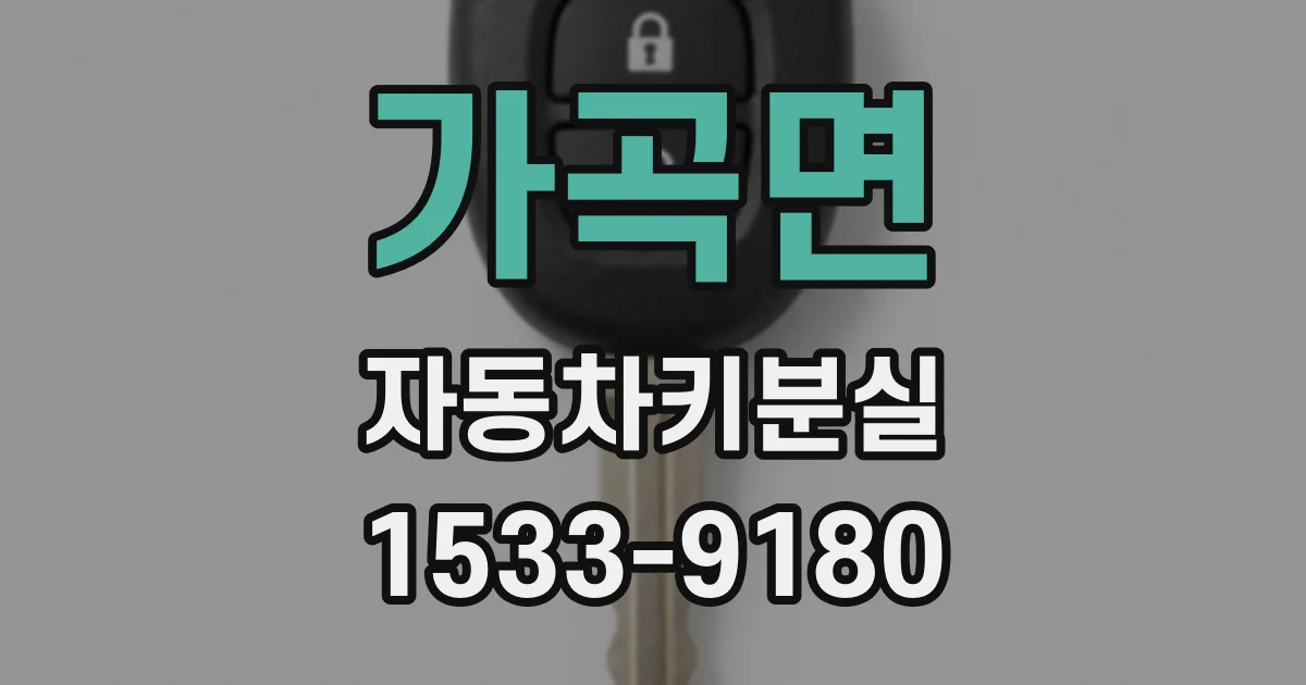 가곡면 자동차키분실