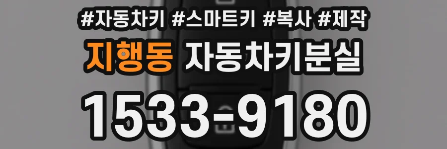 지행동 자동차키분실
