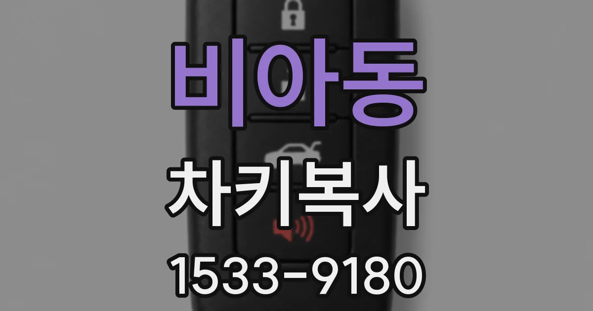비아동 차키복사