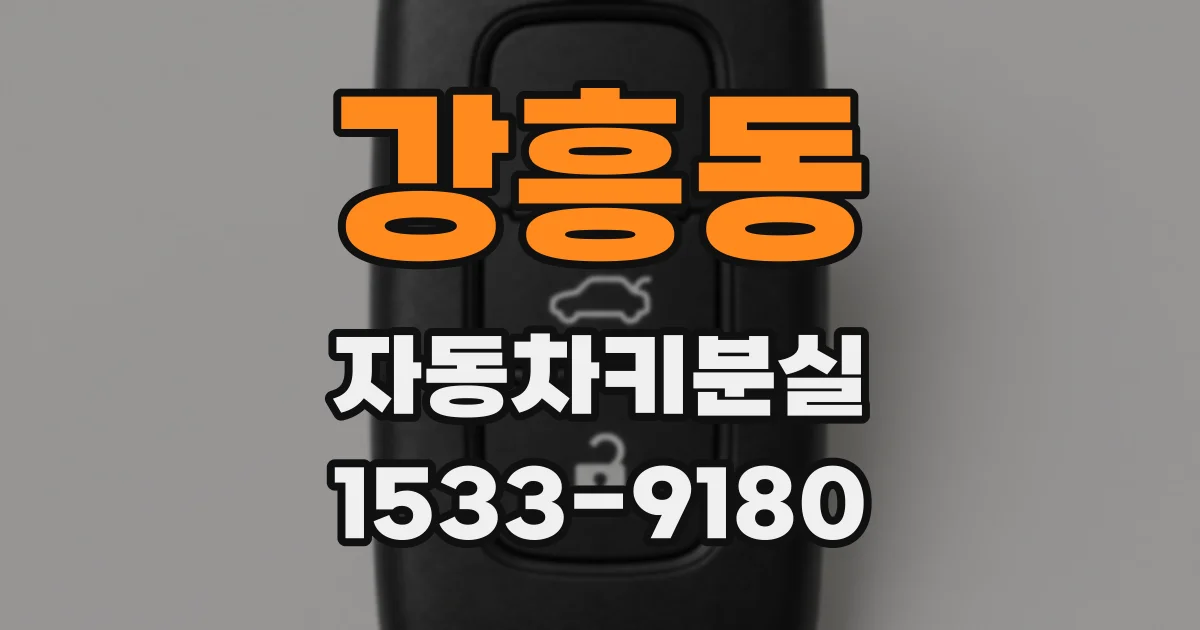 강흥동 자동차키분실