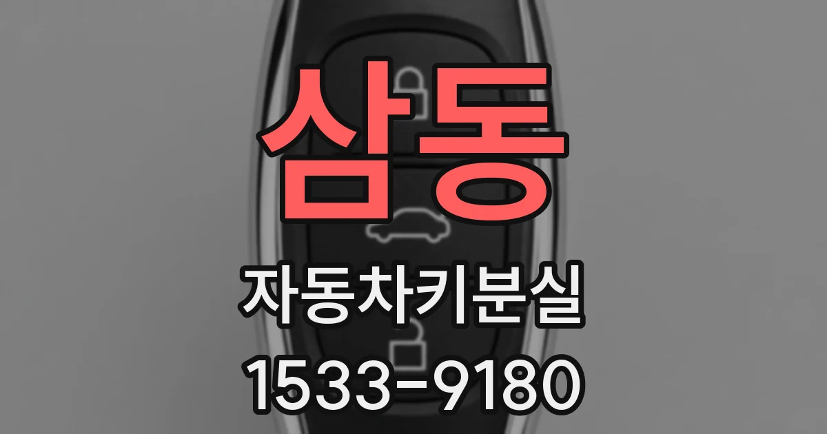 삼동 자동차키분실