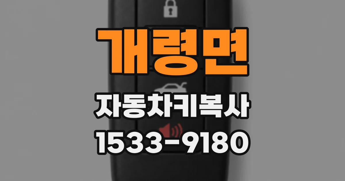 개령면 자동차키복사