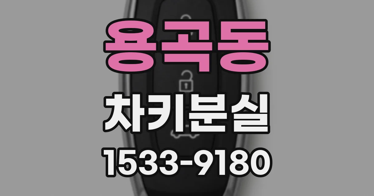 용곡동 차키분실
