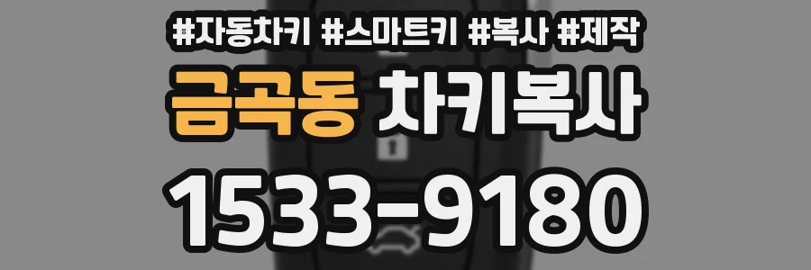 금곡동 차키복사