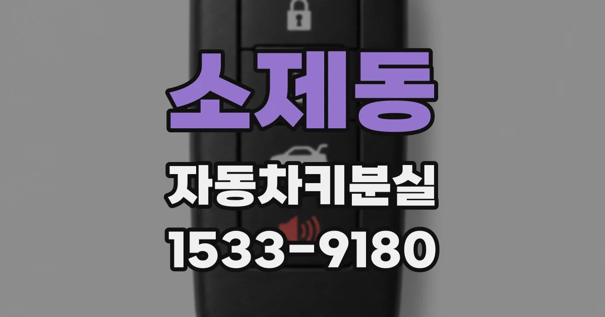 소제동 자동차키분실